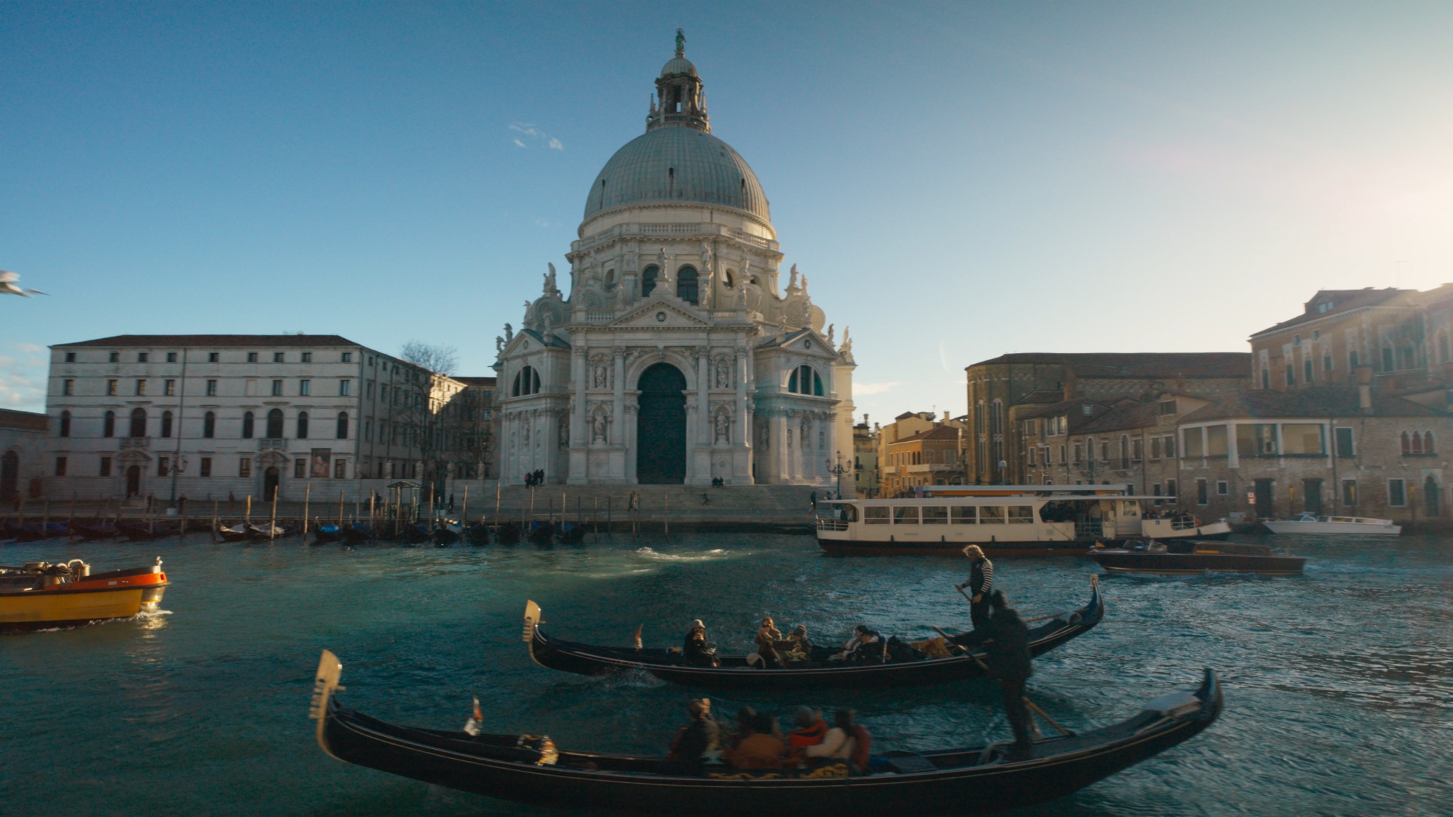 FBI International wallpaper